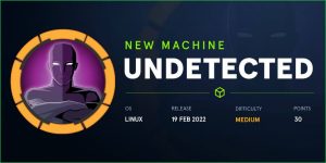 Read more about the article Undetected HackTheBox WalkThrough
